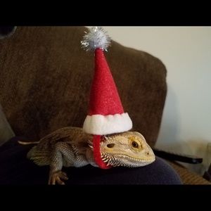 Meet your Posher, Jeffrey